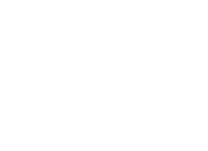 Download a Free PDF